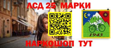 ешки Моздок