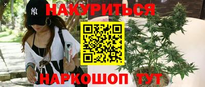 ешки Моздок